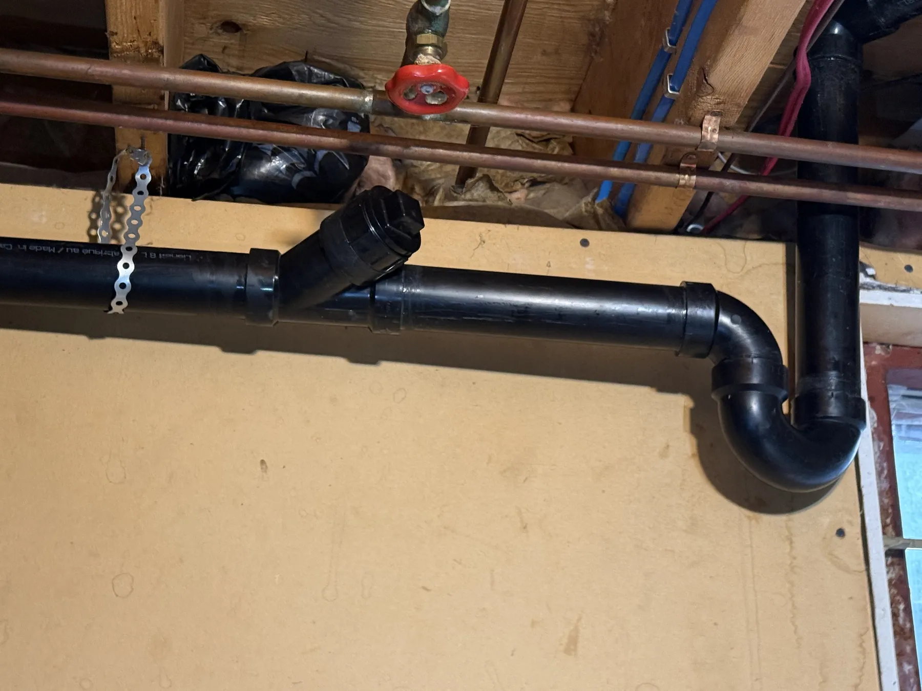 Sewer Backup