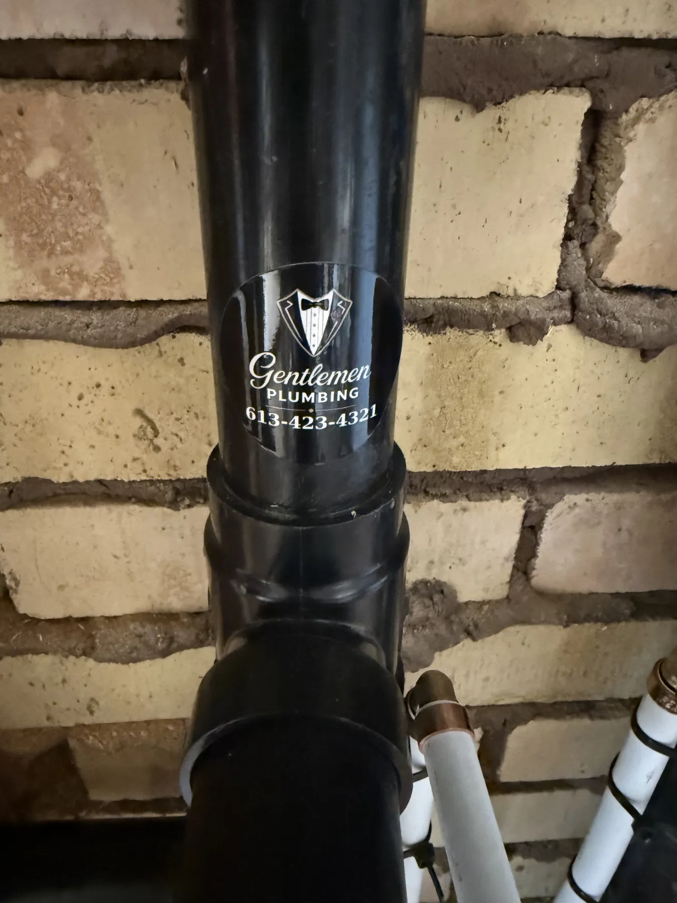 Close-up of black ABS DWV drain and vent stack inside an Ottawa bathroom renovation wall.